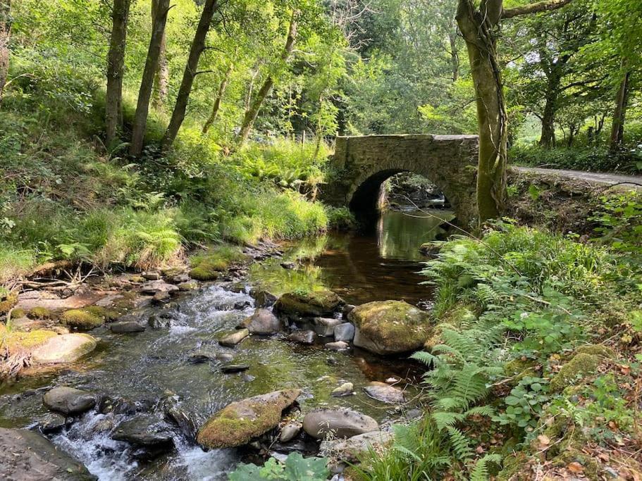 Bear Cottage, Tyn Y Cwm Eglwys-Fach Luaran gambar