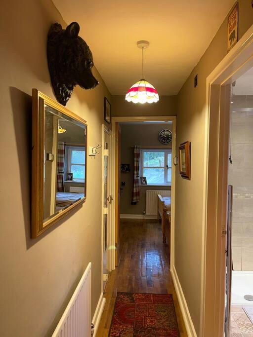 Bear Cottage, Tyn Y Cwm Eglwys-Fach Luaran gambar